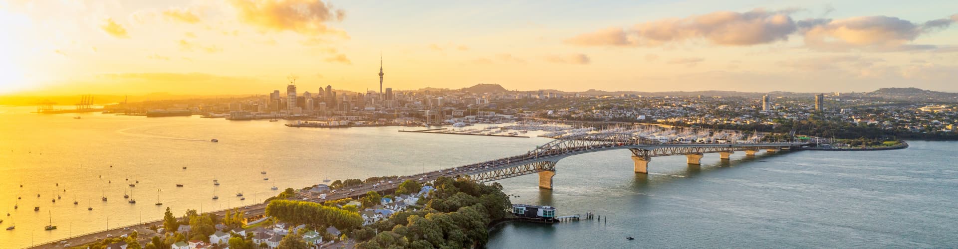 financial-adviser-auckland