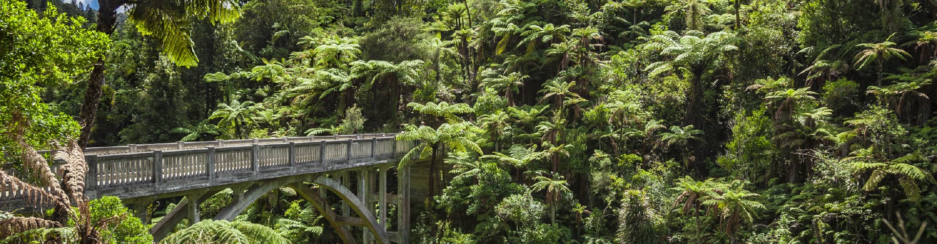 financial-adviser-whanganui