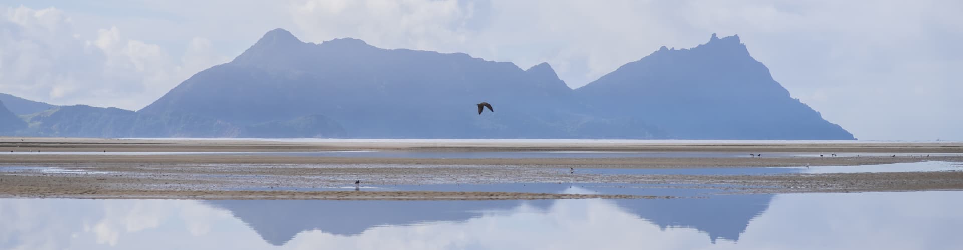 financial-adviser-whangarei