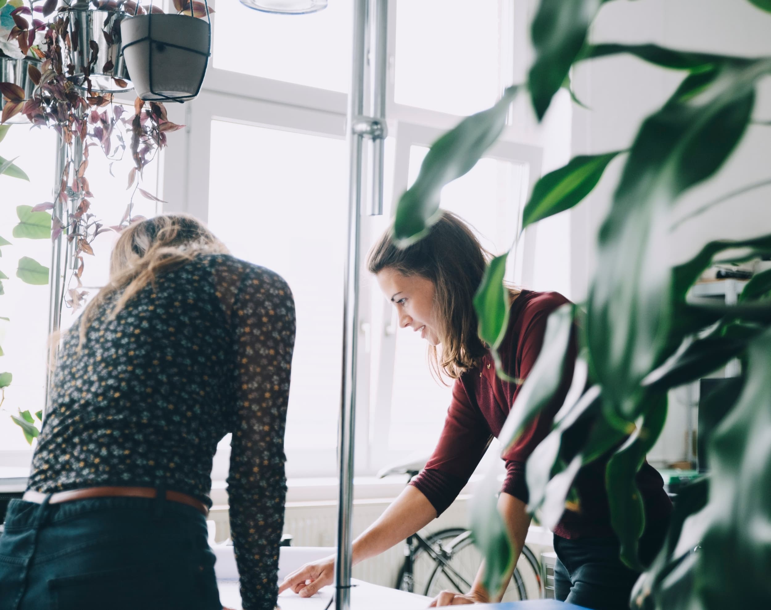 Sustainability Scores